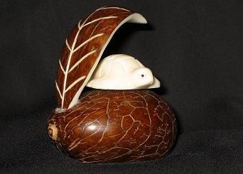 Turtle with Leaf