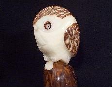 Owls