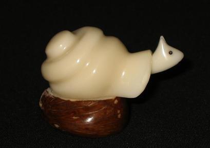 Snail