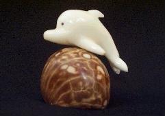 Dolphin