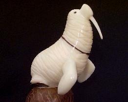 Walrus