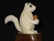 Squirrels