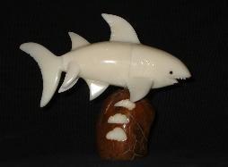 Sharks