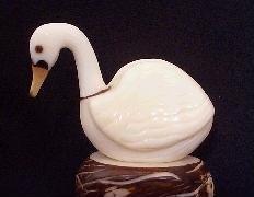 Swan