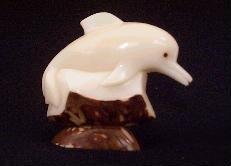 Dolphin #2