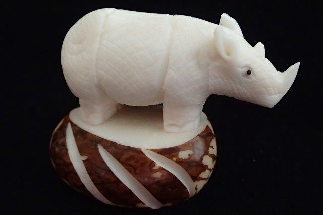Rhinoceros