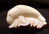 Manatee #2