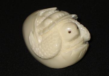 Turtle Hatching