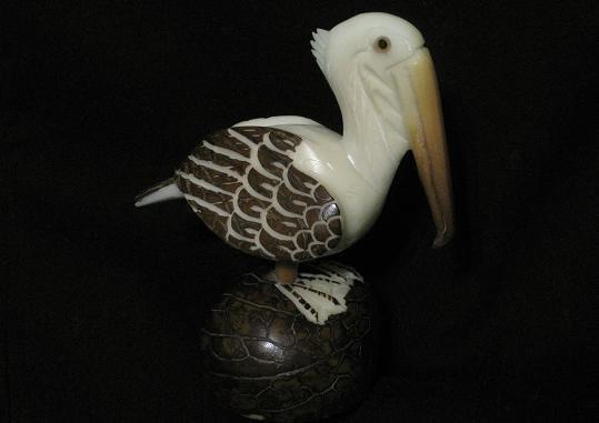 Pelicans