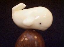 Whale