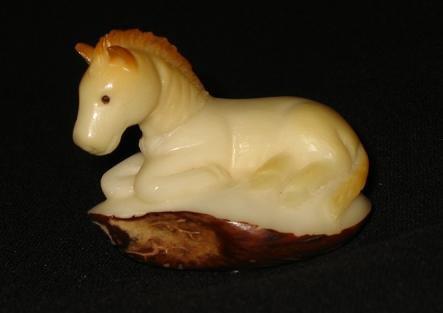 Horse Baby