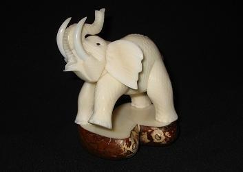 Elephants
