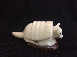 Armadillo