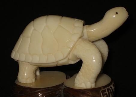 Turtles