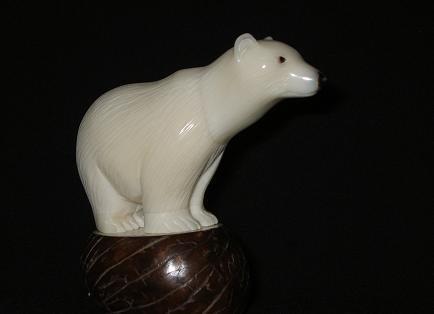 Polar Bear