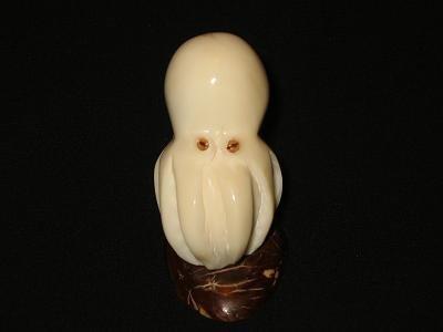 Octopus