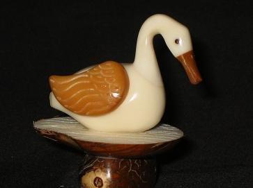 Ducks