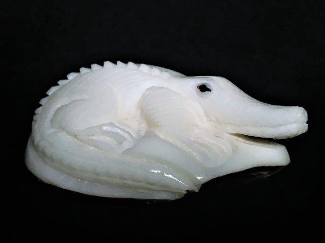 Alligators