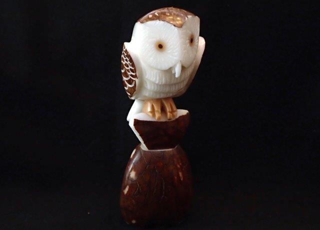 Barn Owl