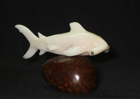Hammerhead Shark