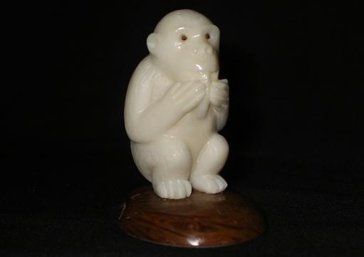 Chimpanzee