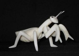 Insects