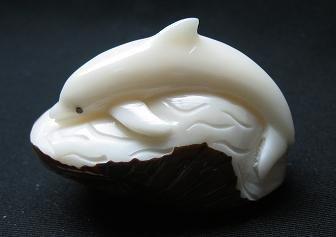 Dolphin #4