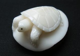 Sea Turtle #2