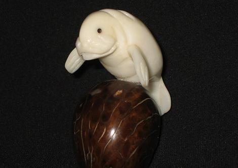 Manatee (small)