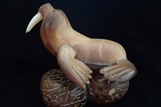 Walrus (large)