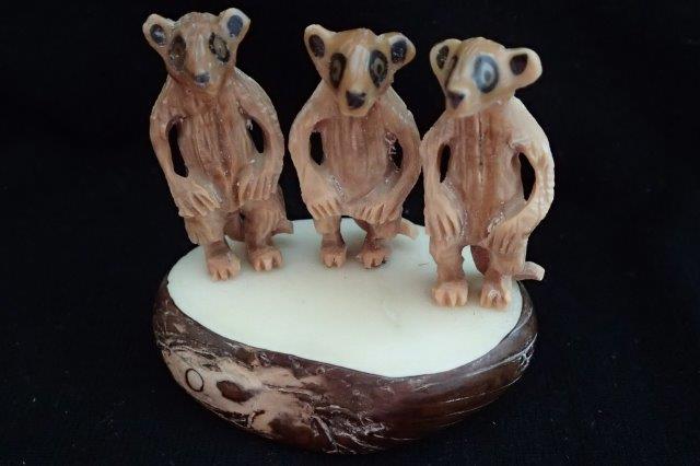 Meerkat Family