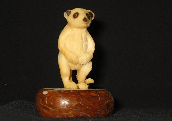 Meerkat