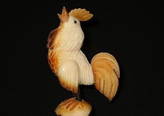 Roosters & Chickens