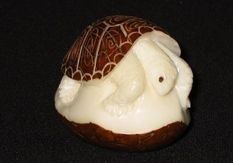 Box Turtle (dark shell)