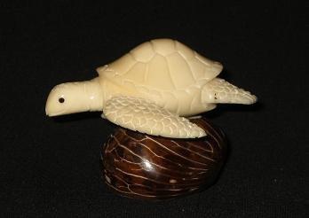 Sea Turtle #3
