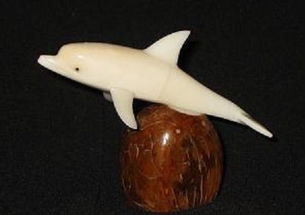 Dolphin #6