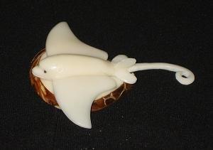 Stingray #2