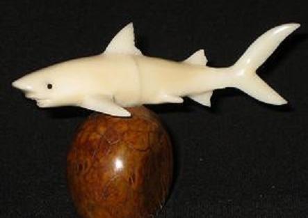 Shark