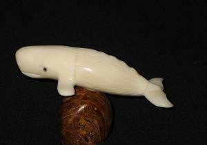 Sperm Whale