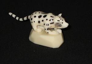 Leopards