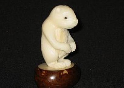 Prairie Dog