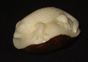 Salamander