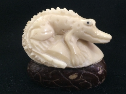 Alligator Baby