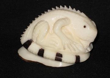 Iguana #3