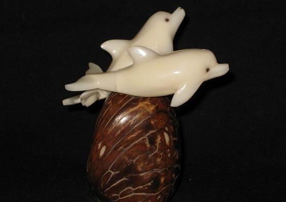 Dolphins