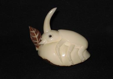 Horned Beetle
