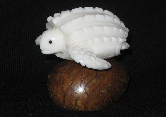 Leatherback Turtle