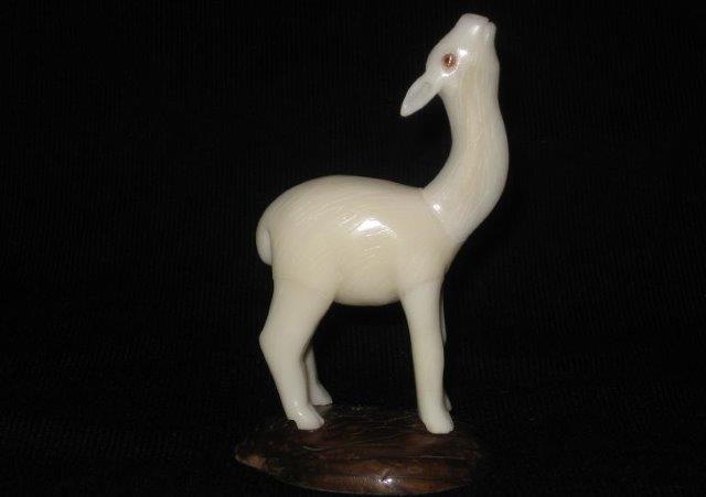 Llama