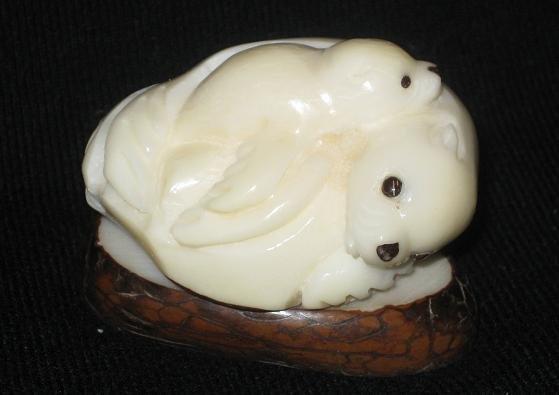 Seal Family #2