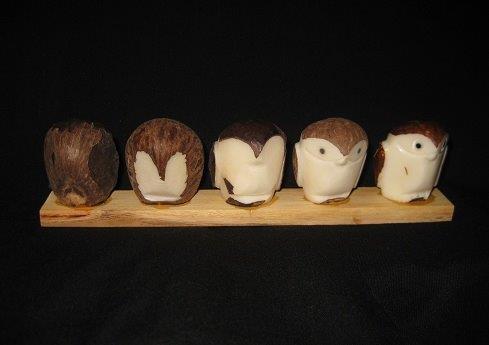 Owl Progression